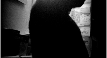 www.zelenamacka.eu I foto: Hana Fábry